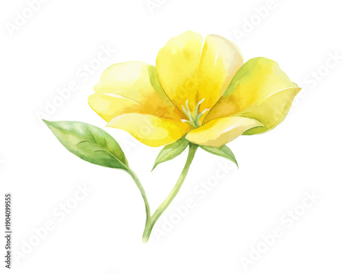 Slika na platnu Watercolor Evening Primrose Flower Clipart, Yellow Botanical Illustration, vecto