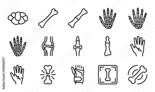 Human bone structure with cross section and spongy texture transparent background