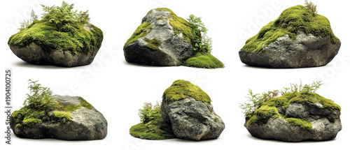 Six moss-covered rocks with small plants