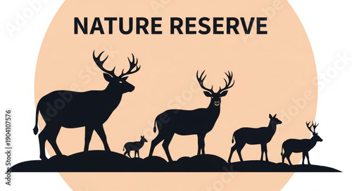 Silhouette of a deer family in a nature reserve.