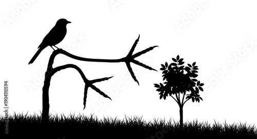 Silhouette of a bird perched on a bare tree branch.