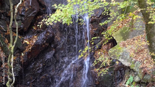 【くらがり渓谷】岩場を流れ落ちる水と緑紅葉