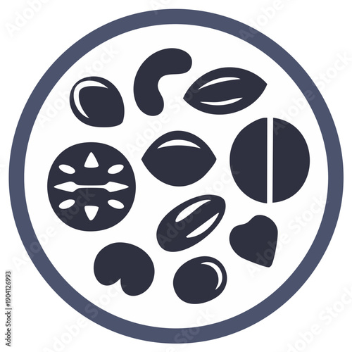 Illustrated arrangement of assorted nuts within a circular design, healthy eating concept
