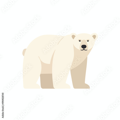 Polar bear on white background simple illustration style