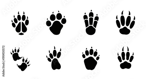 Set of Animal Paw Prints Vector Icons.