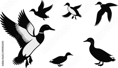 Set of flying and standing duck silhouettes isolated on white background, black bird shapes collection for wildlife, design, and stock illustration