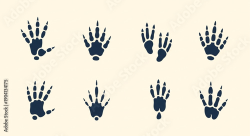 Set of Animal Paw Prints Vector Icons.