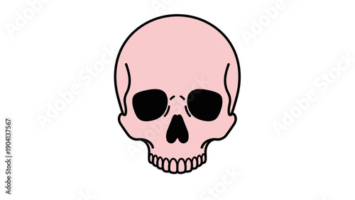 Pink Human Skull Illustration Front View.