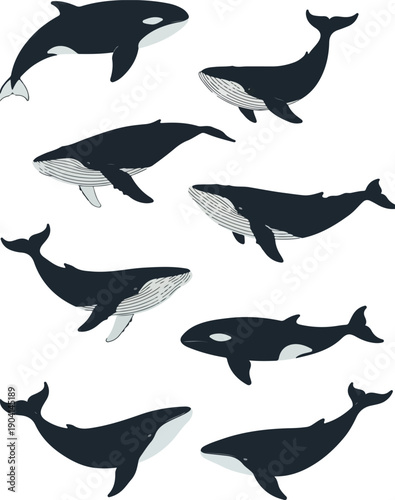 Pixel Art Whales and Orcas Sea Creatures Isolated on White Background