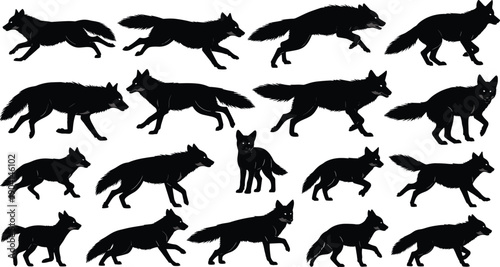 WebBlack vector silhouette set of wolves and foxes for concepts of wildlife nature predator forest animals canine hunting mascot branding