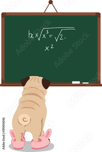 Pug Dog In Slippers Solving Math Equation On Green Chalkboard