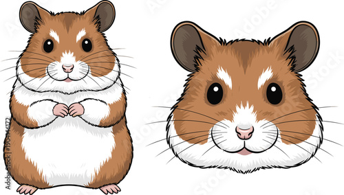 Cute hamster illustration showing full body and close up face views, featuring adorable pet rodent character design, animal mascot, children illustration, and friendly cartoon style concept