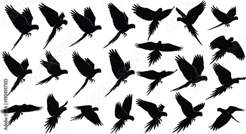 WeBlack vector silhouette set of flying parrots and macaws for concepts of tropical nature exotic birds wildlife mascot and branding