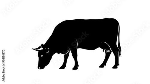 Black Bull Silhouette Grazing on White Background Vector Illustration
