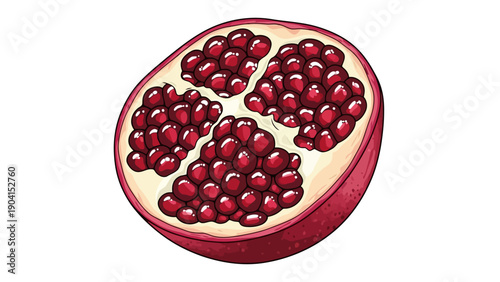 Crosssection illustration of a ripe jewelfilled pomegranate half