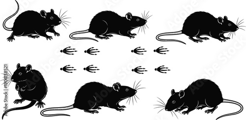 Black silhouettes of rats and mice set with paw prints, rodents in different poses isolated on white background, vector illustration for pest control design,