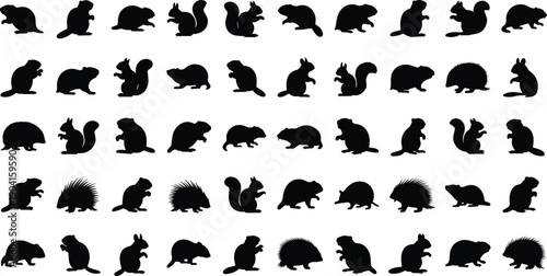 Large set of black silhouettes including squirrels beavers and porcupines in various poses isolated on white background for wildlife forest nature design elements,
