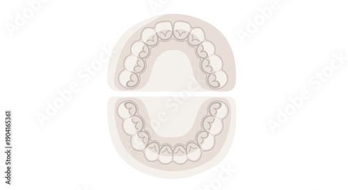 Teeth aligner orthodontic dental model