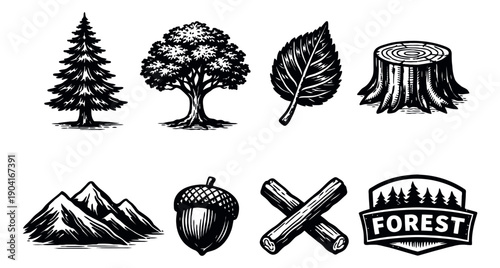 Vintage hand drawn nature elements set featuring trees, mountains, and forest items for outdoor and natural themes
