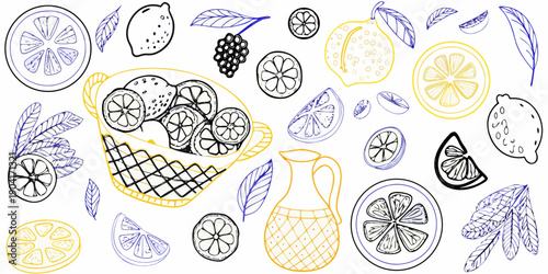 A colorful sketch of citrus fruits leaves and a pitcher on white background