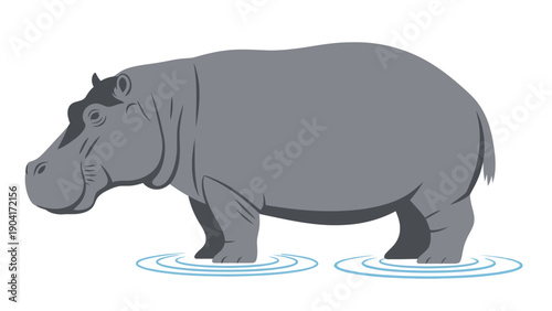 Stylized gray hippopotamus standing in shallow blue water ripples