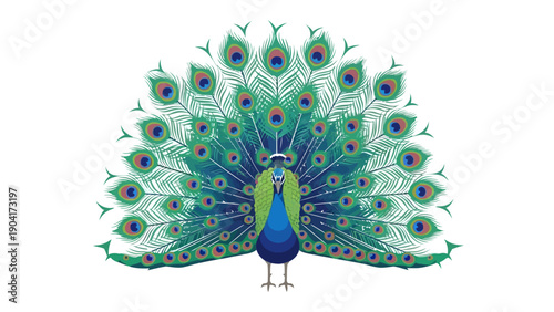 Stylized peacock with fully fanned tail feathers against a white background