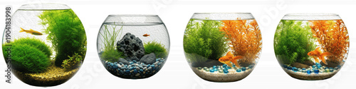 Foto Set of mini aquascaped glass fishbowls with live aquatic plants and decorative s