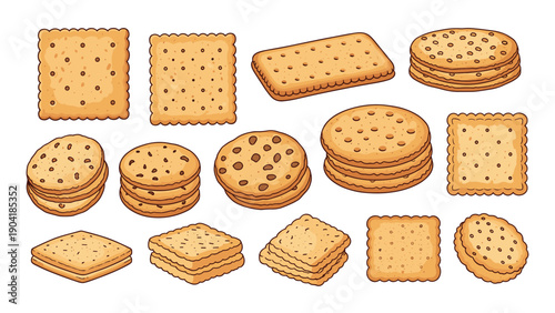 Assorted savory crackers and sweet cookies in various shapes like square, round, and rectangular for snack and food themes.