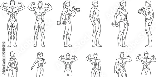Fitness bodybuilder illustration set, muscular men and women workout poses, gym training vector, bodybuilding anatomy, line art, isolated white background