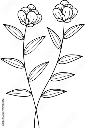 Floral Line Art
