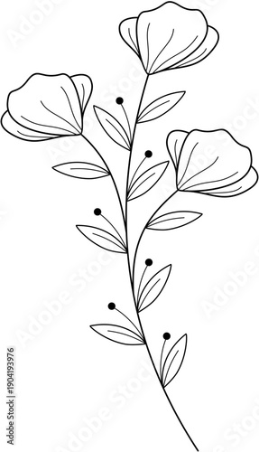 Floral Line Art