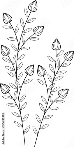 Floral Line Art