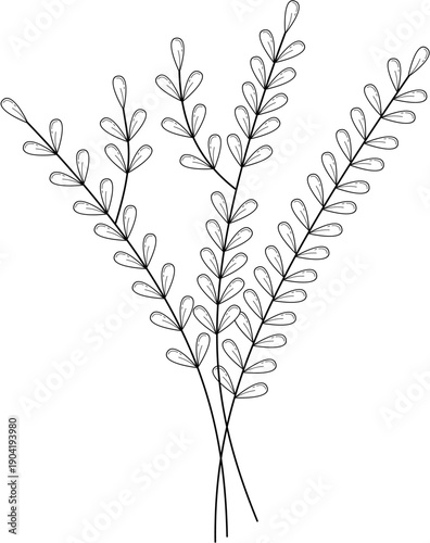 Floral Line Art