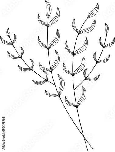 Floral Line Art