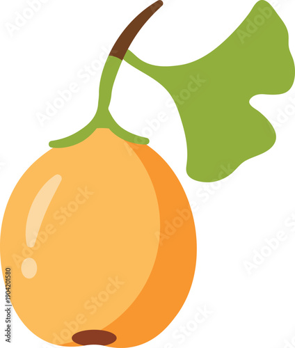 Stylized illustration of a Ginkgo biloba fruit with a single leaf and stem, on white.