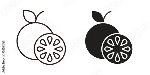 Grapefruit icon vector Illustration logo template pack