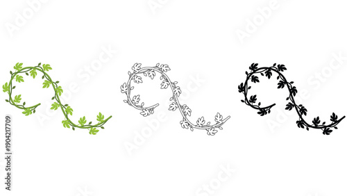 A decorative vine with leaves in green, outline, and silhouette.