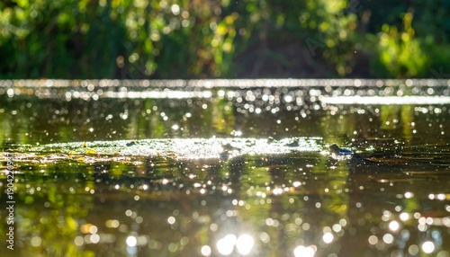 Sunlight Reflecting on Water with Greenery in Background.