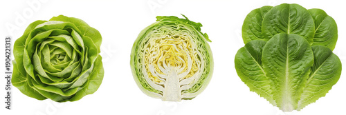 Photos Set of fresh green lettuce heads, whole romaine and butterhead lettuce with slic