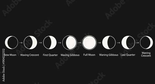 Phases of the Moon Cycle.