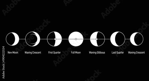 Phases of the Moon Cycle.