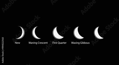 Phases of the Moon Cycle.