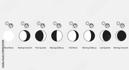 Phases of the Moon Cycle.