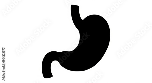 A silhouette of a human stomach is depicted against a plain background from a straightforward viewpoint.