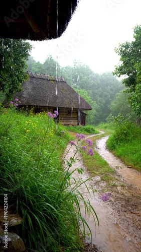 Dirt road with house and flowers in the rain