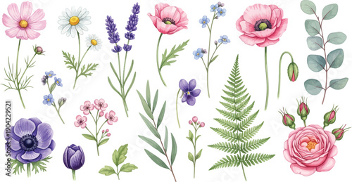 Vibrant watercolor botanical illustration featuring a diverse collection of spring and summer flowers and plants on a clean white background.