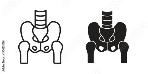 Pelvic area icon line illustration background. icon concept vector