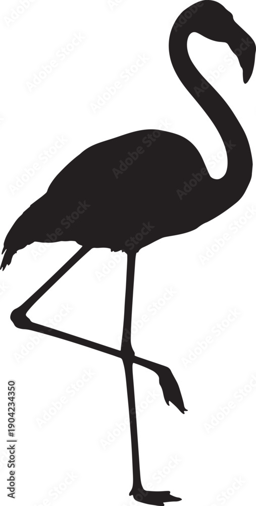 Fototapeta premium Flamingo bird standing profile view large pink wading bird
