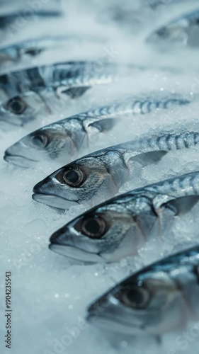 Rows of Fresh Fish on Ice Display