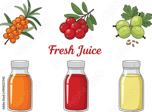 Fresh juice illustration featuring bottles of orange, red, and yellow juices with sea buckthorn, cranberry, and gooseberry fruits for healthy drink-themed vector design.